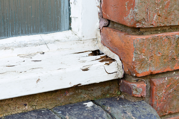 Closeup of rotting window trim where paint was not well maintained